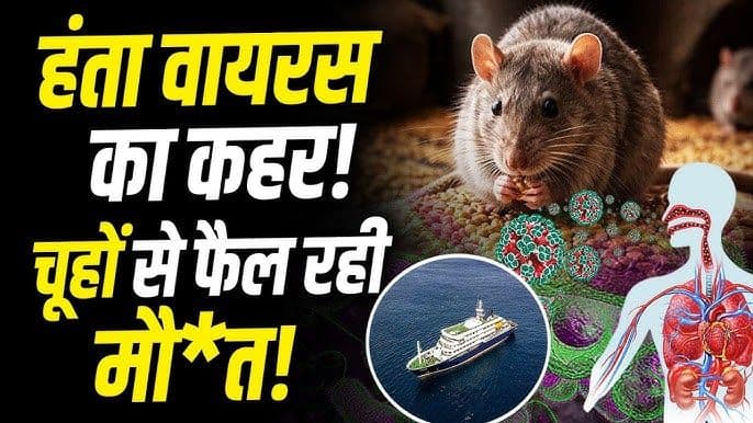 चूहों से इंसान में फैलने वाले हंता वायरस ने ली एक और जान, 12 देशों से संपर्क में WHO