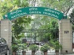 भोपाल के बड़ा तालाब में सिंगाड़े की खेती:NGT ने कमेटी बनाकर जांच करवाई; पीसीबी को पानी की नियमित पड़ताल के आदेश