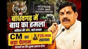घायलों के नि:शुल्क उपचार और आवश्यक मुआवजे के लिए किया निर्देशित
